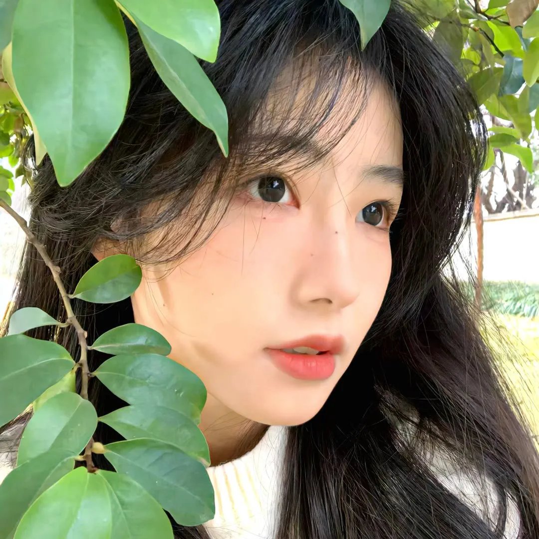 五尾狐